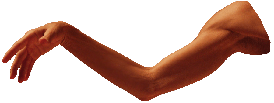 arm
