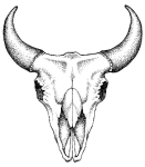 steer_skull
